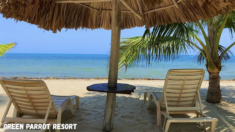 Two chairs under an umbrella on the beach at green parrot resort