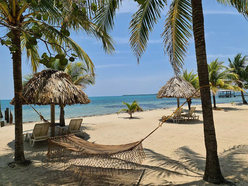 A hammock sits on a beach surrounded by palm trees