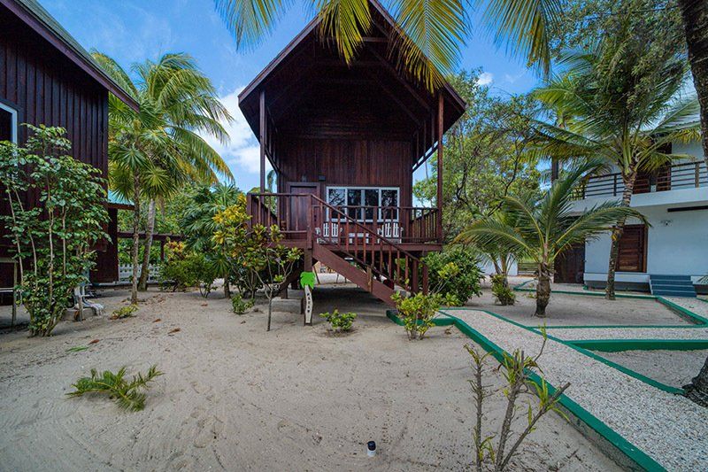 A small wooden house with stairs leading up to it is surrounded by palm trees.