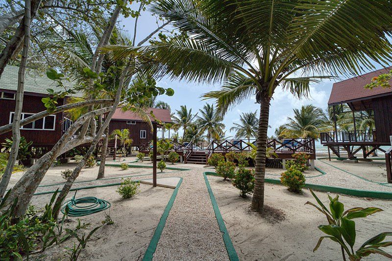 A path leading to a row of houses surrounded by palm trees.