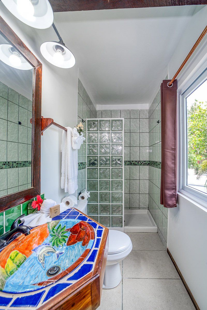 A bathroom with a toilet , sink , mirror and shower.