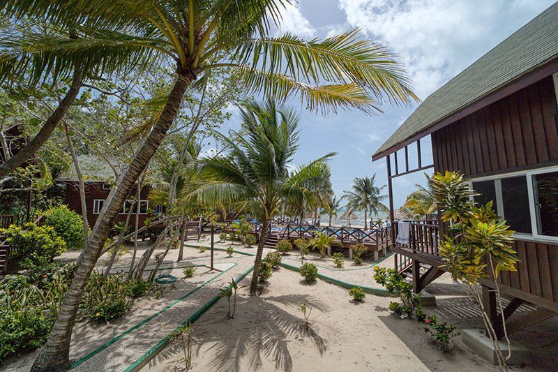 A row of houses on a beach with palm trees