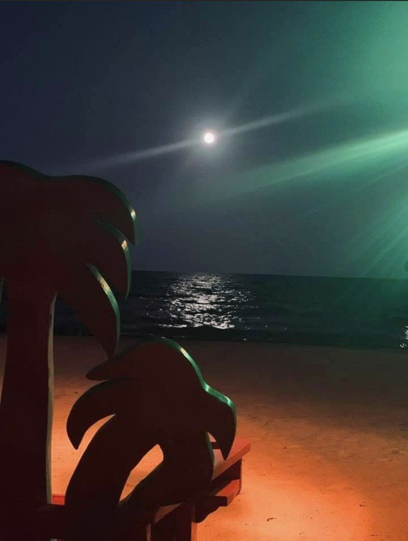 A statue of a palm tree is on a beach at night.