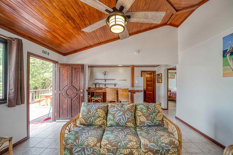 A living room with a couch and a ceiling fan.