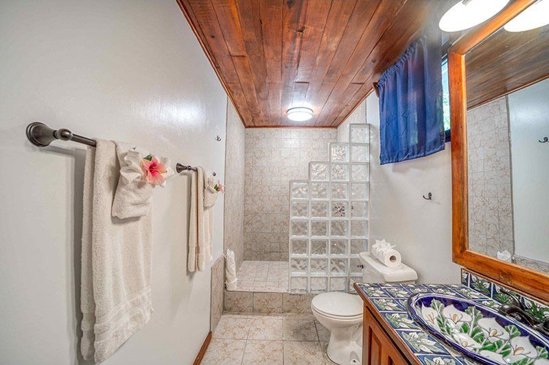 A bathroom with a toilet , sink , and shower.