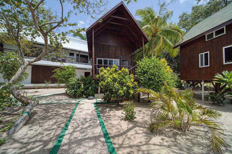 A wooden house is surrounded by trees and bushes on a sandy beach.