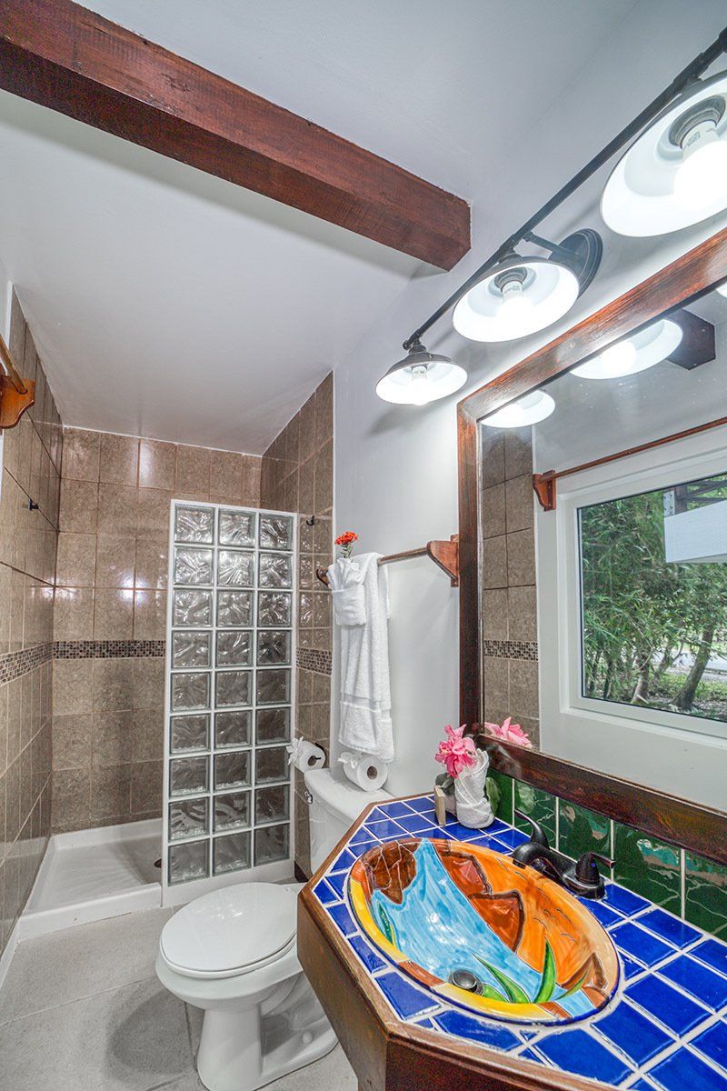 A bathroom with a sink , toilet , shower and mirror.