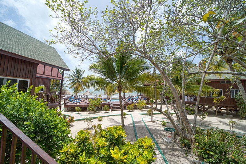 A row of houses on a tropical island with palm trees in the foreground.