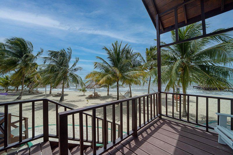 A balcony overlooking a beach with palm trees and the ocean.
