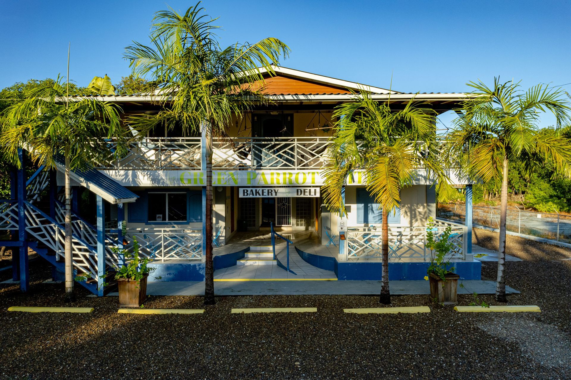 A large house with stairs leading up to it is surrounded by palm trees