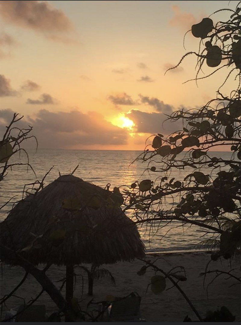 A sunset over the ocean with a thatched hut in the foreground