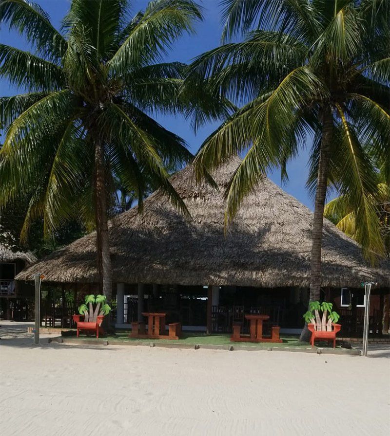 A thatched hut sits on a beach surrounded by palm trees