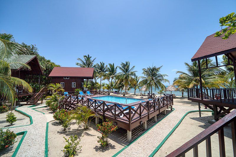 A large swimming pool surrounded by palm trees and houses
