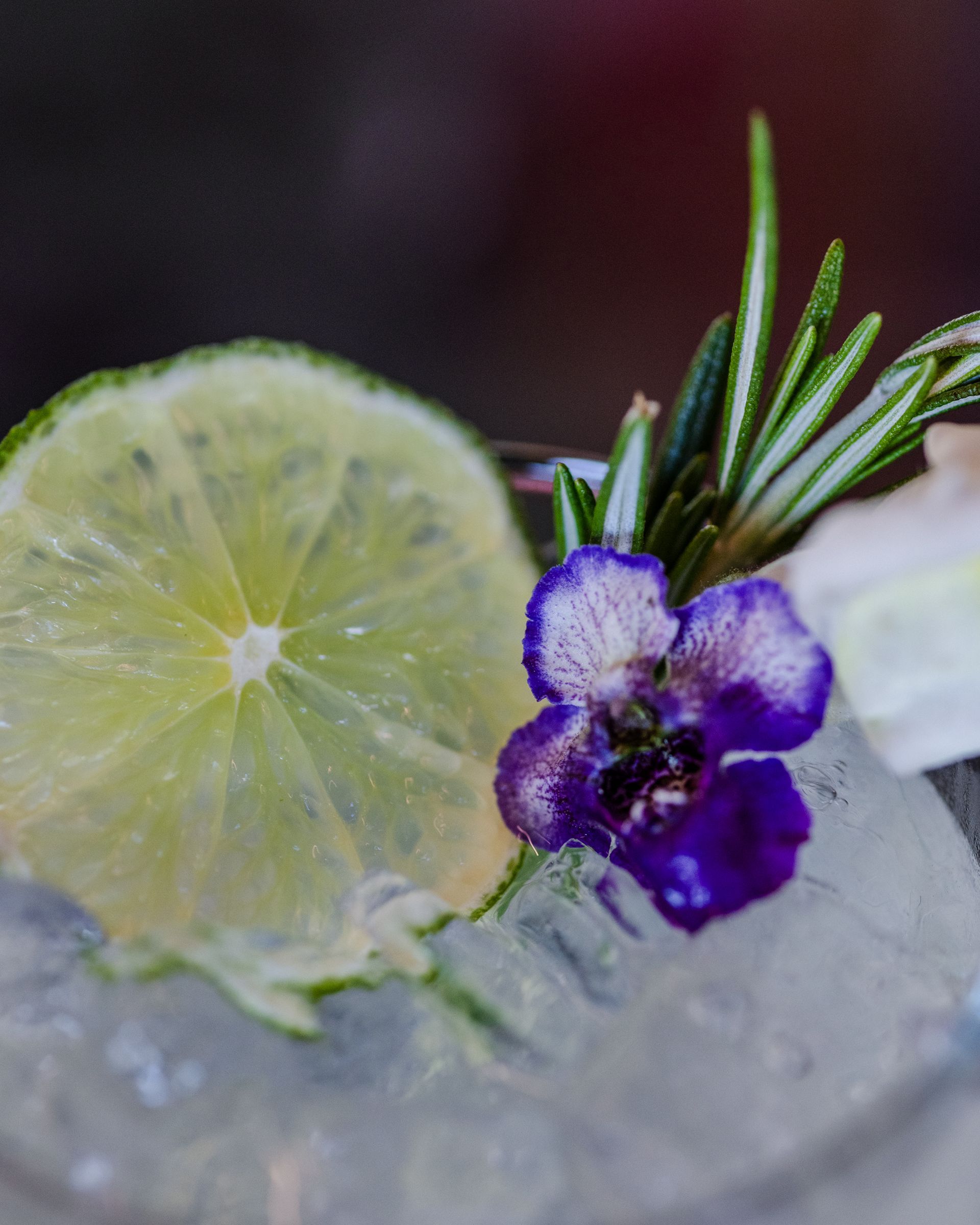Lime wheel, sprig of rosemary, purple flower on ice.