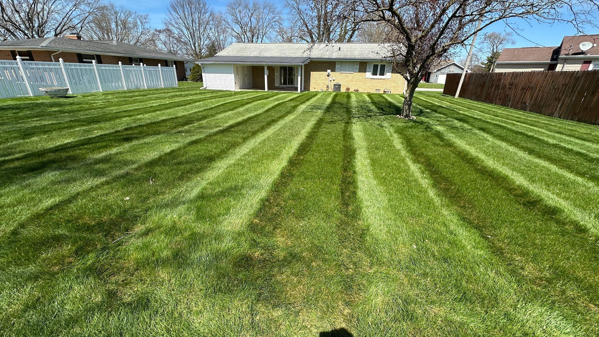 Backyard lawn with striped mowing pattern leading to a small house and trees under a clear sky