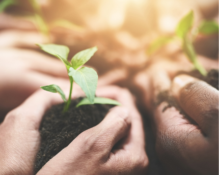 Stacey Adams 6 Months Focus & Flourish Wealth Coaching Program Stacey Adams 6 Months Focus & Flourish Wealth Coaching Program