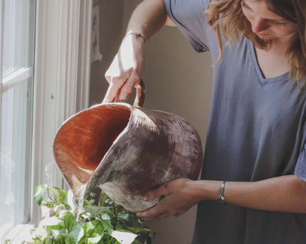 FREE eBook - Get out of Debt in 6 Simple Steps