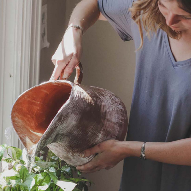 Stacey Adams Wealth Coaching - 4 Week Foundation 1:1 Coaching 