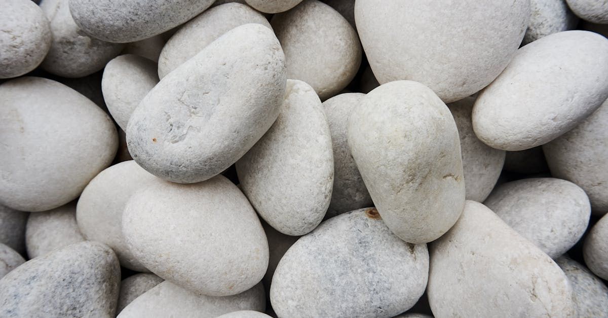A pile of white rocks is sitting on a table
