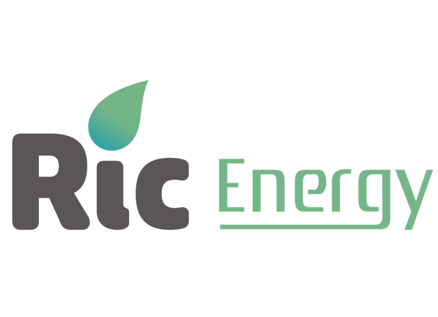 Página Web de RIC Energi