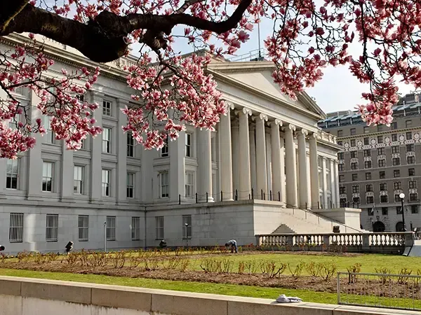 Law building with cherry blossoms in the foreground