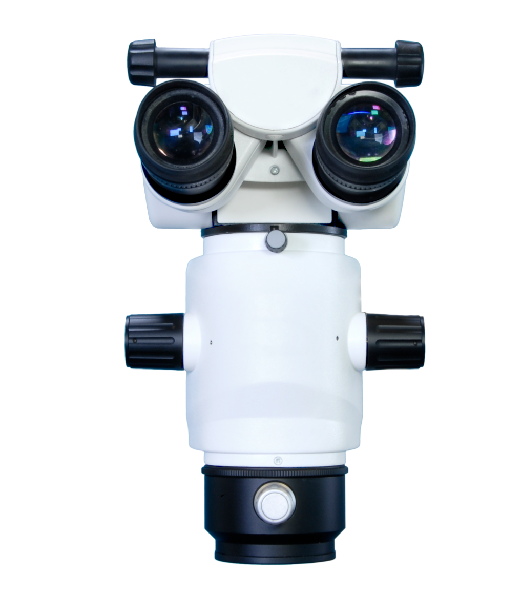 Illumination System for Common Main Objective Dental and Surgical Microscopes