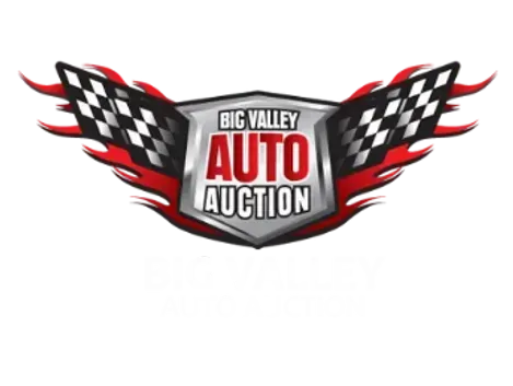 Big Valley Auto Auction logo: Shield with flames, checkered flags, and text.