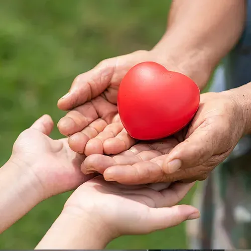 Two pairs of hands, one adult and one child, holding a red heart. Green background.