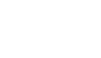 A white background with a few lines on it