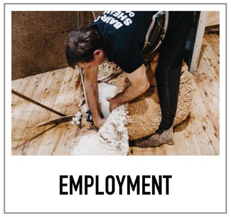 employment