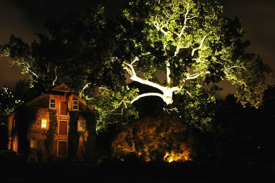 Landscape Lighting gallery