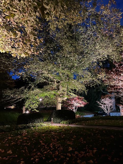 Landscape Lighting gallery