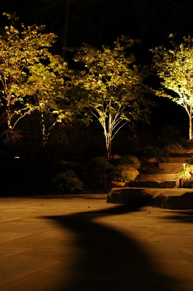 Landscape Lighting gallery