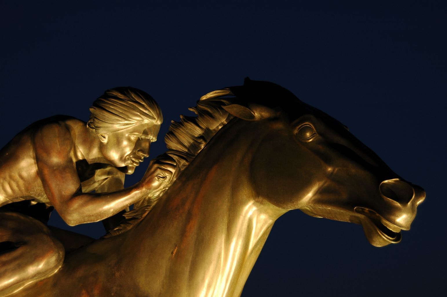 Landscape Lighting gallery