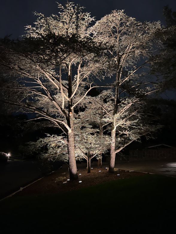 Landscape Lighting gallery