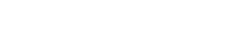 Landscape Lighting Inc. Logo