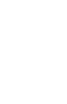 Landscape Lighting Inc. Logo