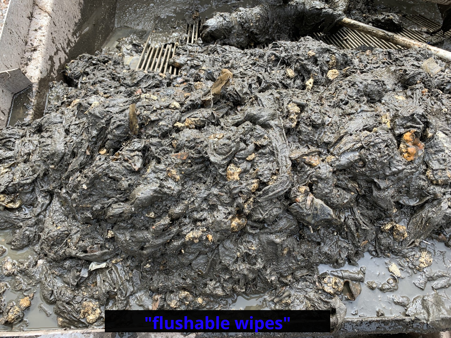 excessive trash from septic tank, wipes and grease