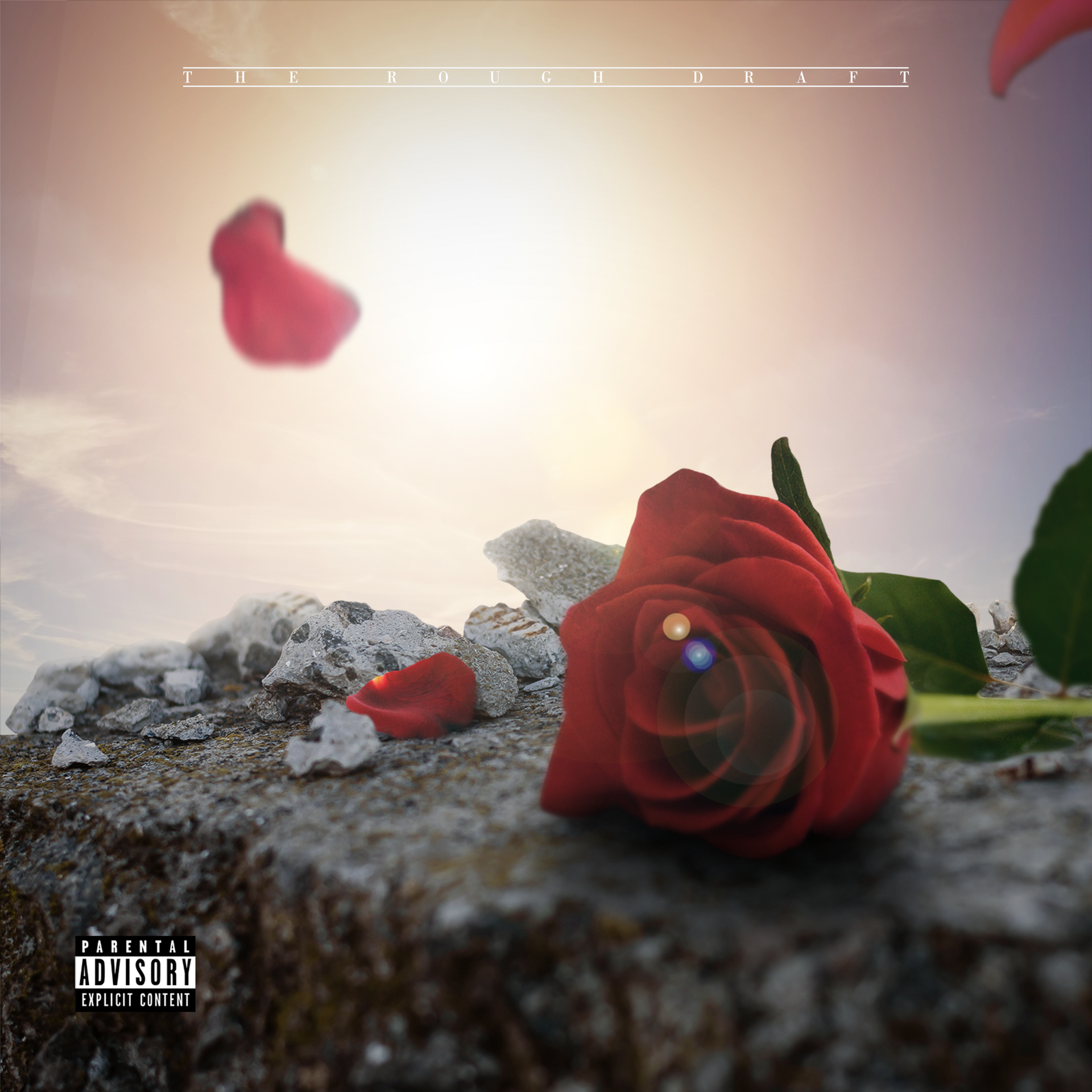 Red rose on a rocky surface with a sunset background.