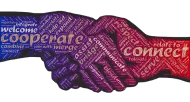 Do It With Me Online Marketing Cape Coral Florida