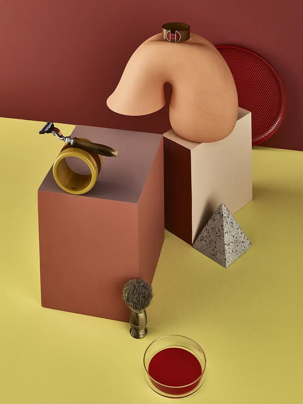 Judith Rasenberg Elsevier Thema 2018