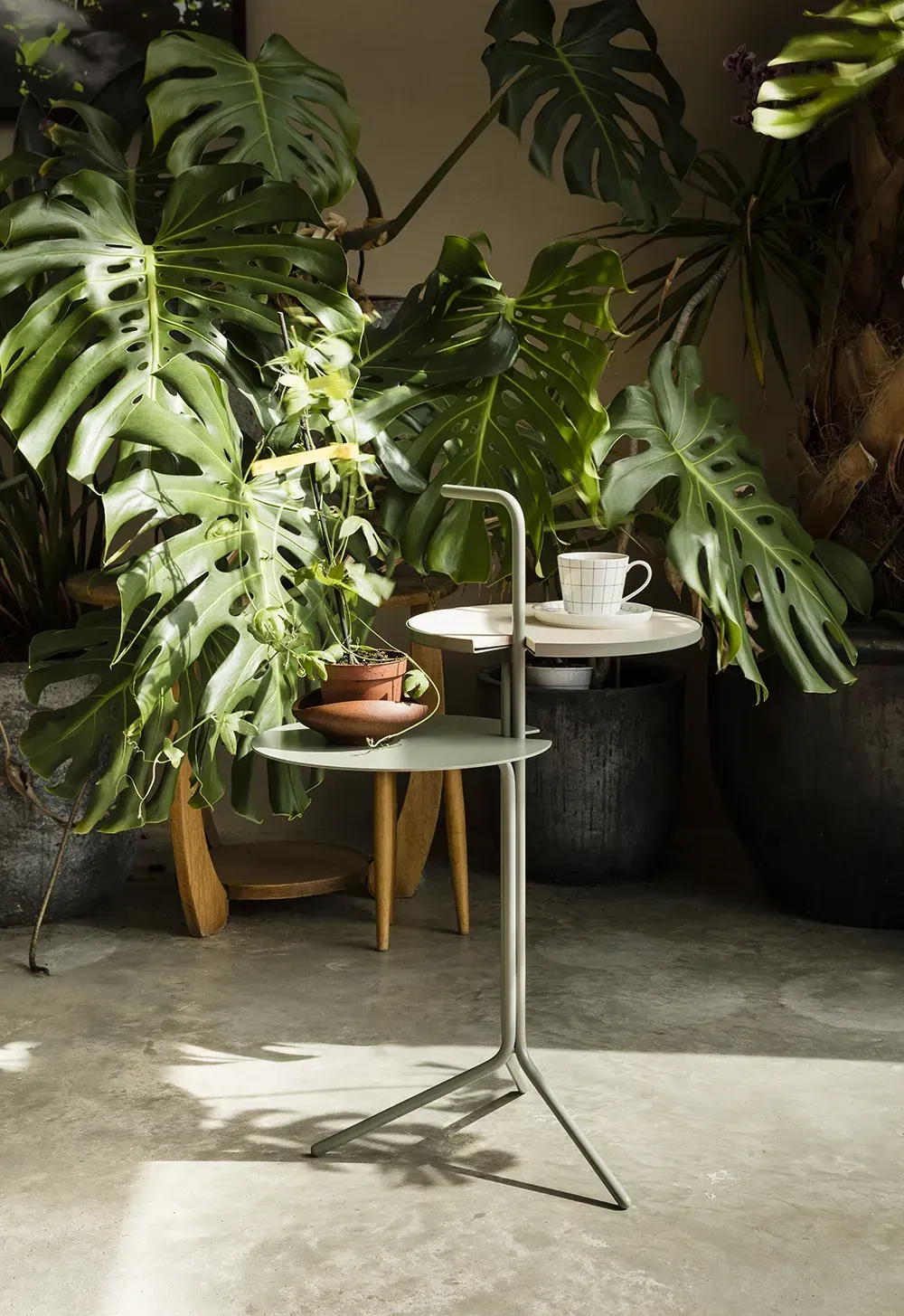 Judith Rasenberg Design On Stock 2017