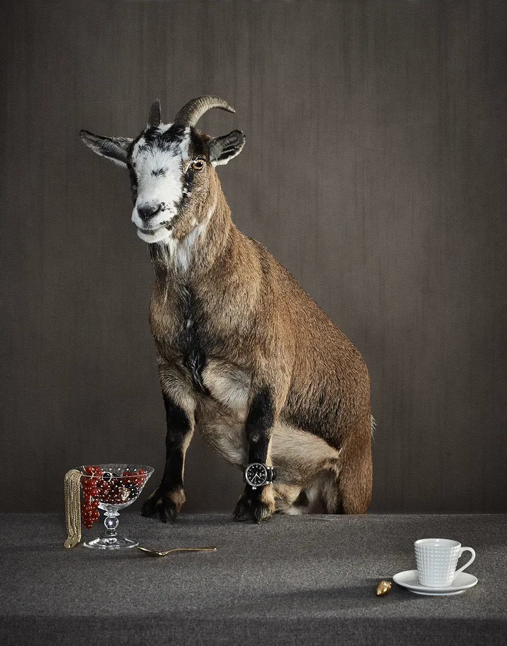 Judith Rasenberg Volkskrant Magazine