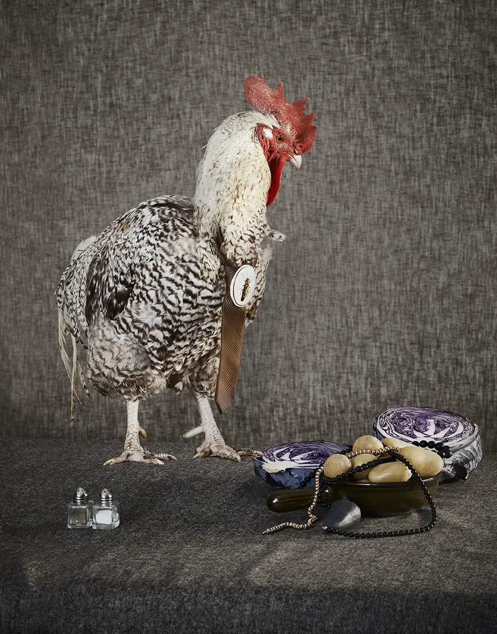 Judith Rasenberg Volkskrant Magazine