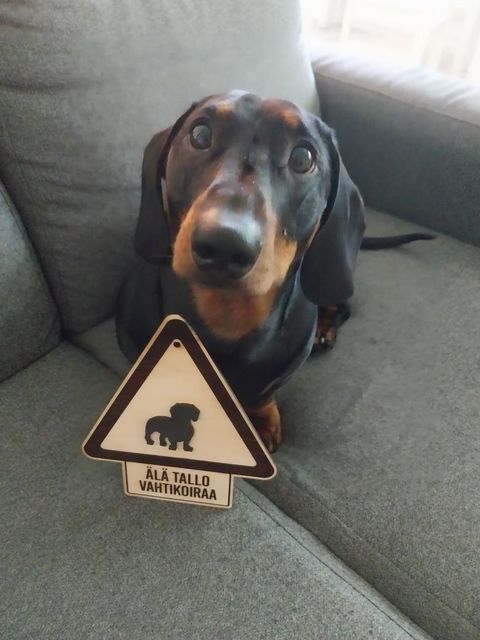 Koira varoituskyltti