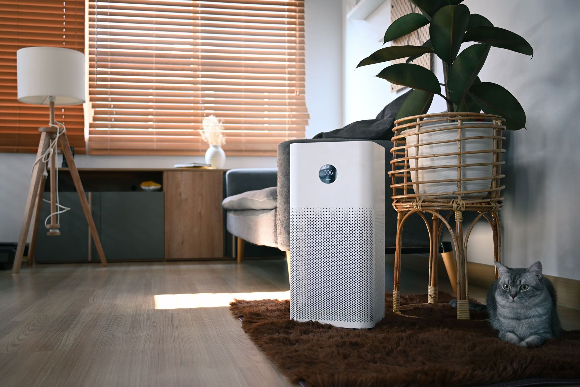 A cat is sitting next to a air purifier in a living room.