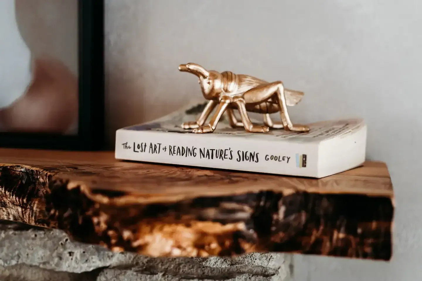 A statue of a grasshopper is sitting on top of a book on a wooden shelf.