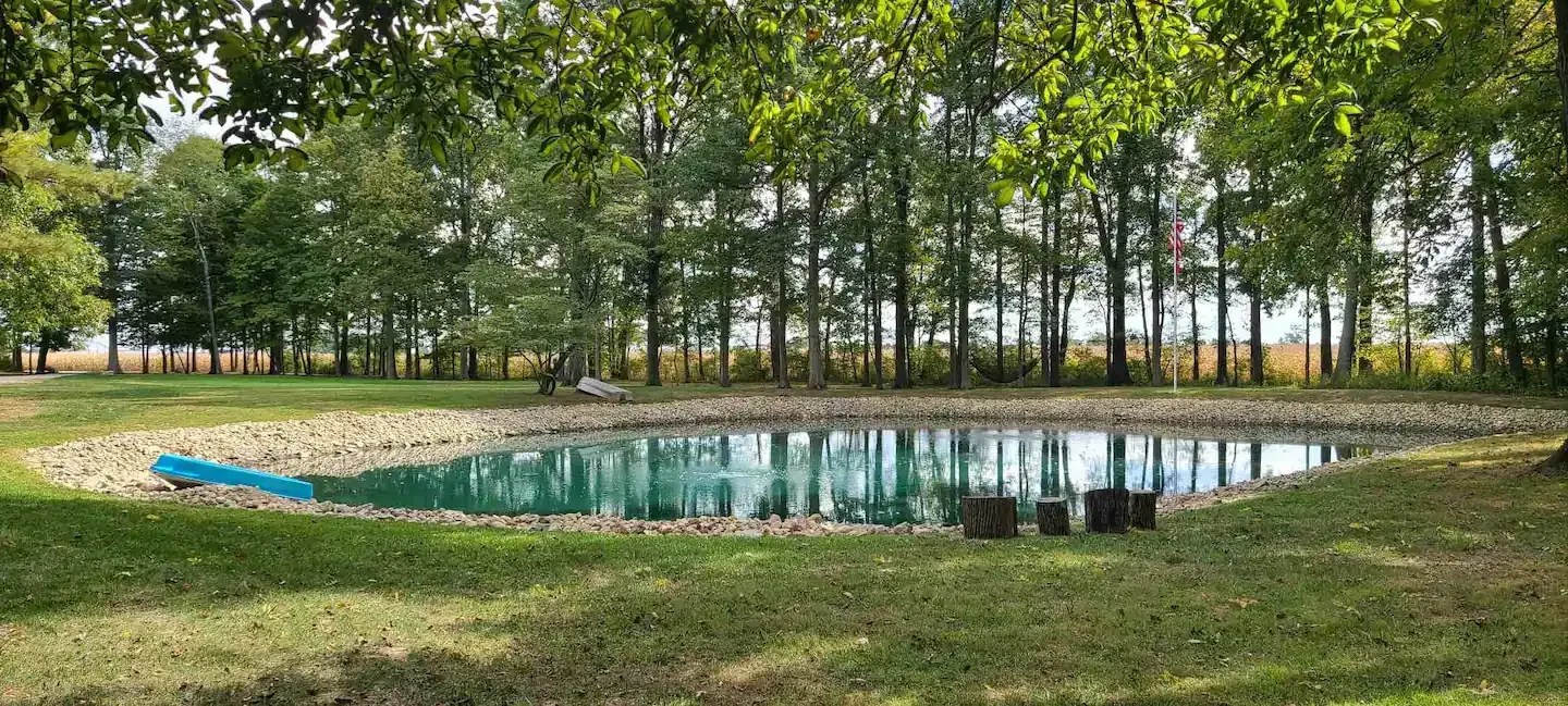 A small pond in the middle of a grassy field with trees in the background.