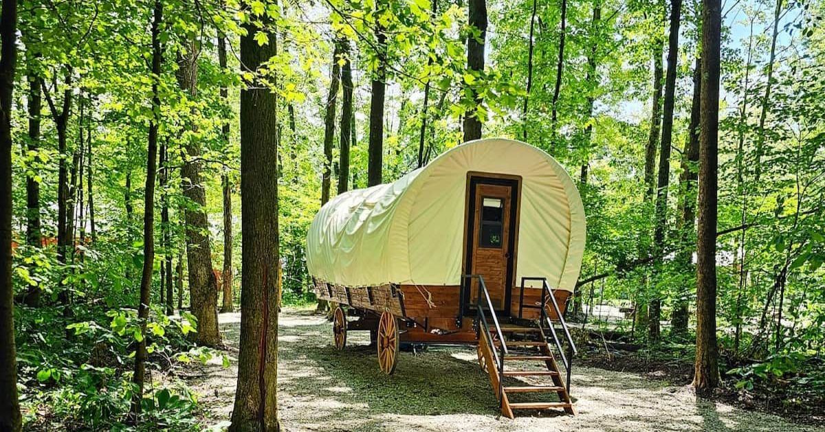 A covered wagon is parked in the middle of a forest.