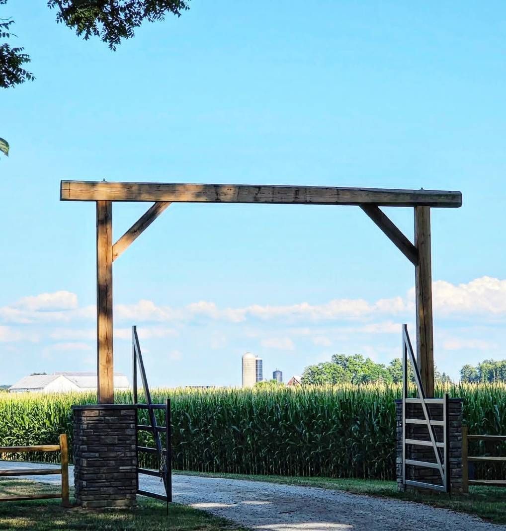 Rustic wooden farm gate framing a cornfield under a bright blue sky